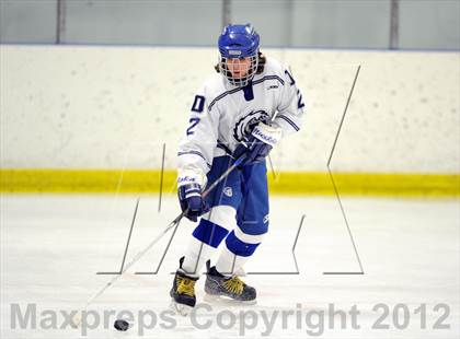 Thumbnail 1 in Darien vs. Notre Dame-West Haven (Carrano Cup Quarterfinal) photogallery.