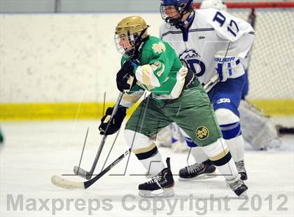 Thumbnail 3 in Darien vs. Notre Dame-West Haven (Carrano Cup Quarterfinal) photogallery.