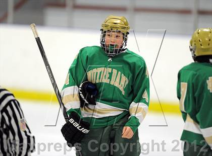 Thumbnail 3 in Darien vs. Notre Dame-West Haven (Carrano Cup Quarterfinal) photogallery.