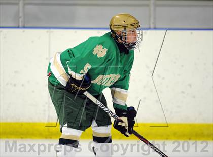 Thumbnail 1 in Darien vs. Notre Dame-West Haven (Carrano Cup Quarterfinal) photogallery.