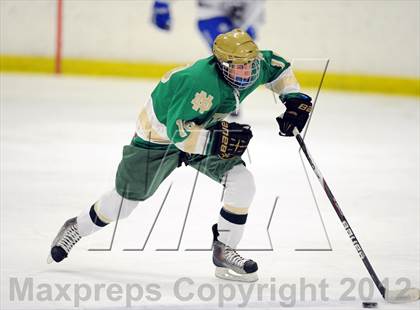 Thumbnail 2 in Darien vs. Notre Dame-West Haven (Carrano Cup Quarterfinal) photogallery.