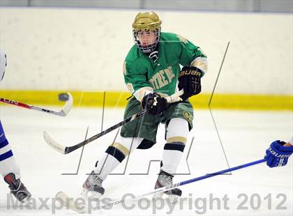 Thumbnail 3 in Darien vs. Notre Dame-West Haven (Carrano Cup Quarterfinal) photogallery.