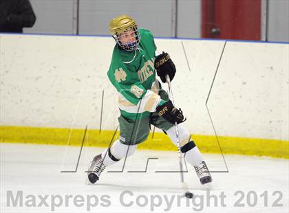 Thumbnail 2 in Darien vs. Notre Dame-West Haven (Carrano Cup Quarterfinal) photogallery.