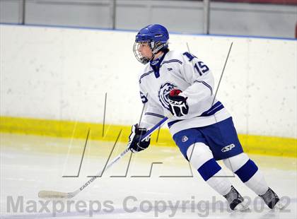 Thumbnail 3 in Darien vs. Notre Dame-West Haven (Carrano Cup Quarterfinal) photogallery.