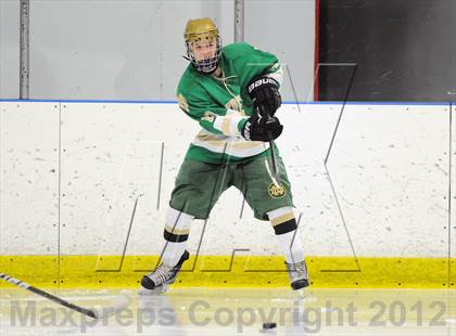 Thumbnail 2 in Darien vs. Notre Dame-West Haven (Carrano Cup Quarterfinal) photogallery.