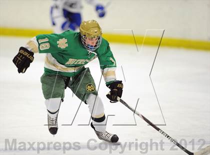 Thumbnail 3 in Darien vs. Notre Dame-West Haven (Carrano Cup Quarterfinal) photogallery.