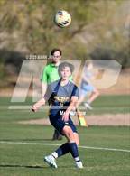 Photo from the gallery "Scottsdale Preparatory Academy @ Phoenix Country Day"