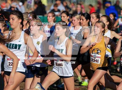 Thumbnail 3 in UIL 5A Girls Cross Country State Final photogallery.