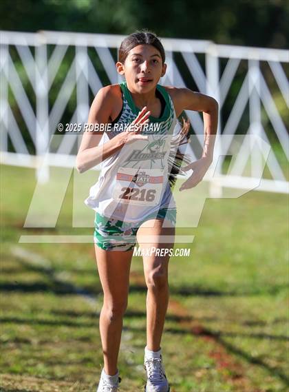 Thumbnail 3 in UIL 5A Girls Cross Country State Final photogallery.