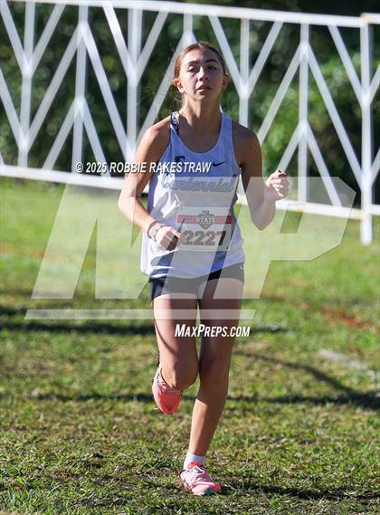 Thumbnail 3 in UIL 5A Girls Cross Country State Final photogallery.