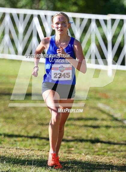 Thumbnail 3 in UIL 5A Girls Cross Country State Final photogallery.