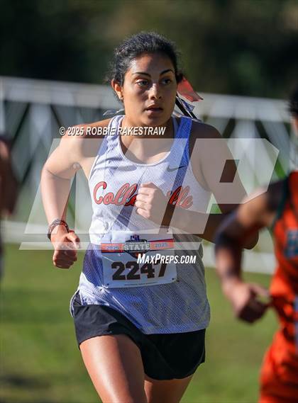 Thumbnail 1 in UIL 5A Girls Cross Country State Final photogallery.