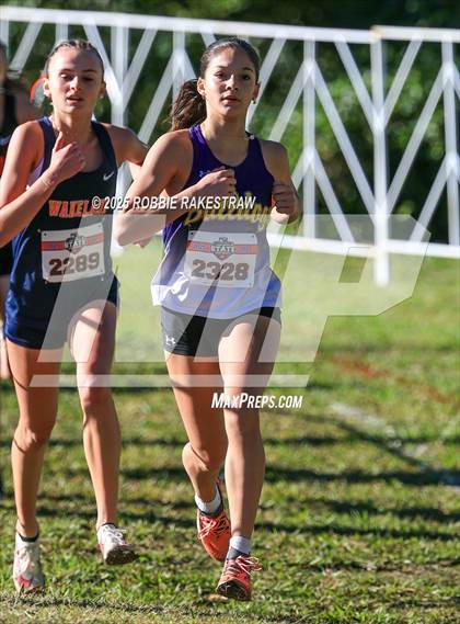 Thumbnail 1 in UIL 5A Girls Cross Country State Final photogallery.