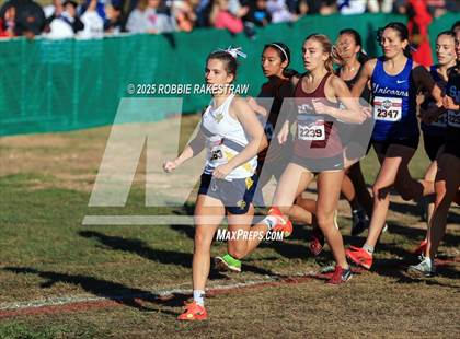 Thumbnail 2 in UIL 5A Girls Cross Country State Final photogallery.