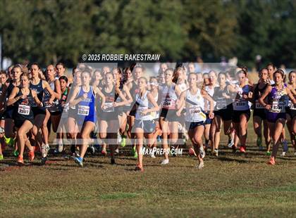 Thumbnail 1 in UIL 5A Girls Cross Country State Final photogallery.