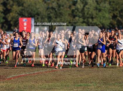 Thumbnail 3 in UIL 5A Girls Cross Country State Final photogallery.