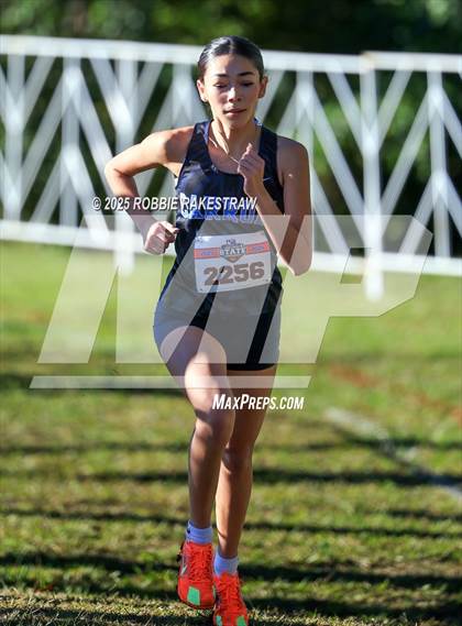 Thumbnail 1 in UIL 5A Girls Cross Country State Final photogallery.