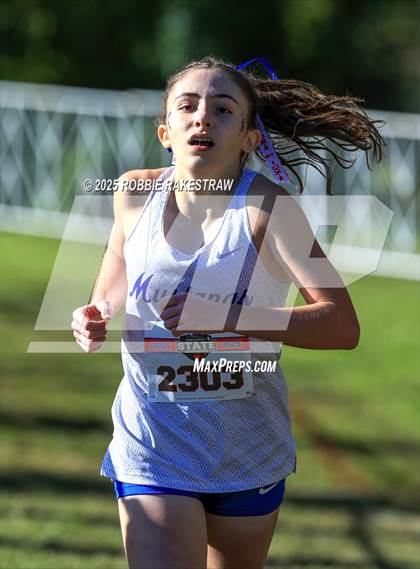 Thumbnail 2 in UIL 5A Girls Cross Country State Final photogallery.