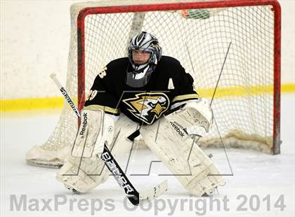 Thumbnail 2 in Joel Barlow @ Shepaug/Litchfield/Nonnewaug photogallery.