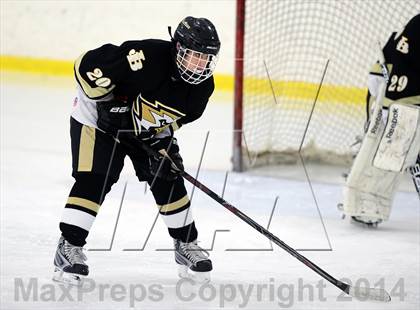 Thumbnail 1 in Joel Barlow @ Shepaug/Litchfield/Nonnewaug photogallery.