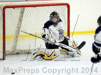 Thumbnail 3 in Joel Barlow @ Shepaug/Litchfield/Nonnewaug photogallery.