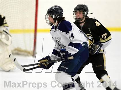 Thumbnail 2 in Joel Barlow @ Shepaug/Litchfield/Nonnewaug photogallery.