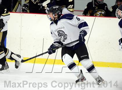 Thumbnail 1 in Joel Barlow @ Shepaug/Litchfield/Nonnewaug photogallery.