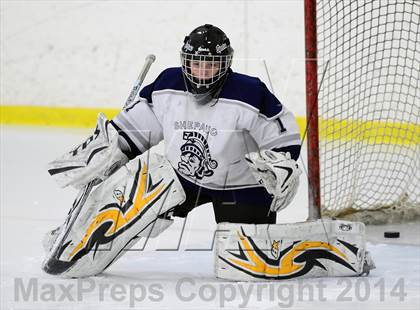 Thumbnail 3 in Joel Barlow @ Shepaug/Litchfield/Nonnewaug photogallery.