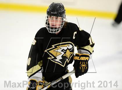 Thumbnail 3 in Joel Barlow @ Shepaug/Litchfield/Nonnewaug photogallery.