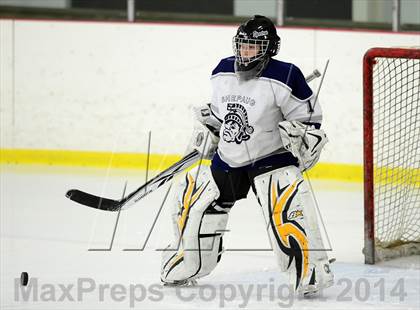 Thumbnail 3 in Joel Barlow @ Shepaug/Litchfield/Nonnewaug photogallery.