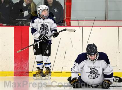 Thumbnail 3 in Joel Barlow @ Shepaug/Litchfield/Nonnewaug photogallery.