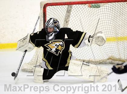 Thumbnail 1 in Joel Barlow @ Shepaug/Litchfield/Nonnewaug photogallery.