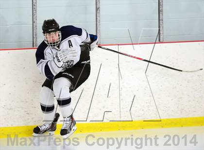 Thumbnail 2 in Joel Barlow @ Shepaug/Litchfield/Nonnewaug photogallery.