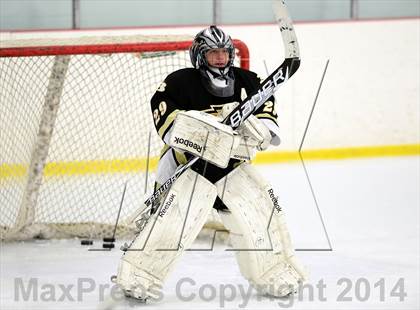Thumbnail 2 in Joel Barlow @ Shepaug/Litchfield/Nonnewaug photogallery.