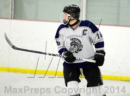 Thumbnail 2 in Joel Barlow @ Shepaug/Litchfield/Nonnewaug photogallery.