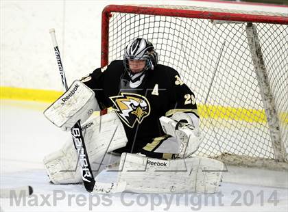Thumbnail 3 in Joel Barlow @ Shepaug/Litchfield/Nonnewaug photogallery.