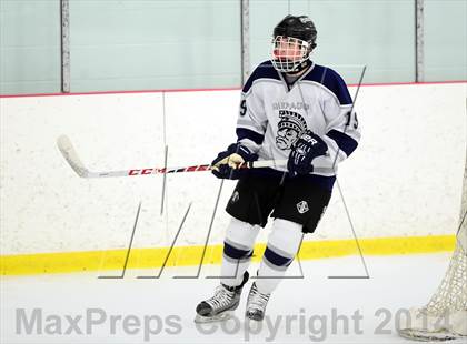Thumbnail 3 in Joel Barlow @ Shepaug/Litchfield/Nonnewaug photogallery.