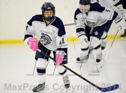 Thumbnail 2 in Joel Barlow @ Shepaug/Litchfield/Nonnewaug photogallery.