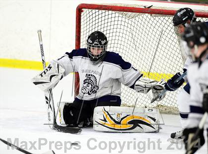 Thumbnail 2 in Joel Barlow @ Shepaug/Litchfield/Nonnewaug photogallery.