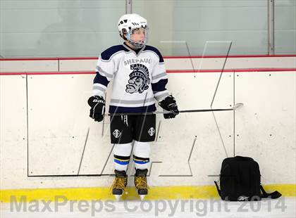 Thumbnail 1 in Joel Barlow @ Shepaug/Litchfield/Nonnewaug photogallery.