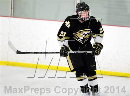 Thumbnail 1 in Joel Barlow @ Shepaug/Litchfield/Nonnewaug photogallery.