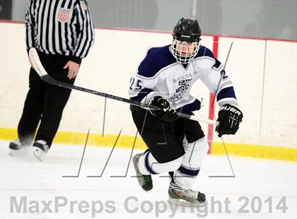 Thumbnail 1 in Joel Barlow @ Shepaug/Litchfield/Nonnewaug photogallery.