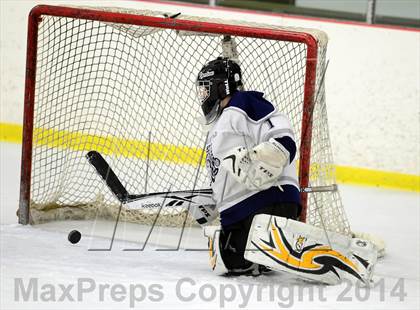Thumbnail 1 in Joel Barlow @ Shepaug/Litchfield/Nonnewaug photogallery.