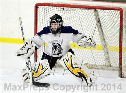 Thumbnail 1 in Joel Barlow @ Shepaug/Litchfield/Nonnewaug photogallery.