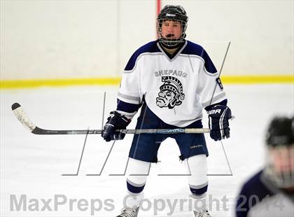 Thumbnail 1 in Joel Barlow @ Shepaug/Litchfield/Nonnewaug photogallery.