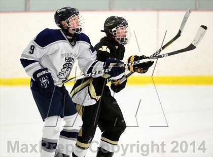 Thumbnail 3 in Joel Barlow @ Shepaug/Litchfield/Nonnewaug photogallery.