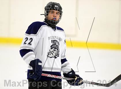 Thumbnail 3 in Joel Barlow @ Shepaug/Litchfield/Nonnewaug photogallery.