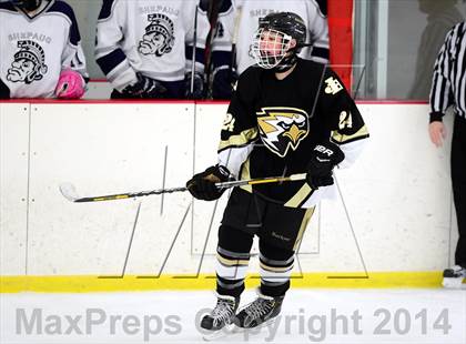 Thumbnail 3 in Joel Barlow @ Shepaug/Litchfield/Nonnewaug photogallery.