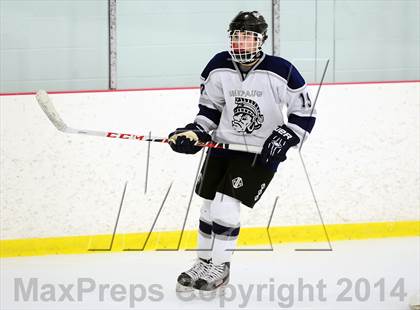 Thumbnail 3 in Joel Barlow @ Shepaug/Litchfield/Nonnewaug photogallery.