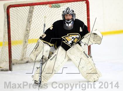 Thumbnail 3 in Joel Barlow @ Shepaug/Litchfield/Nonnewaug photogallery.